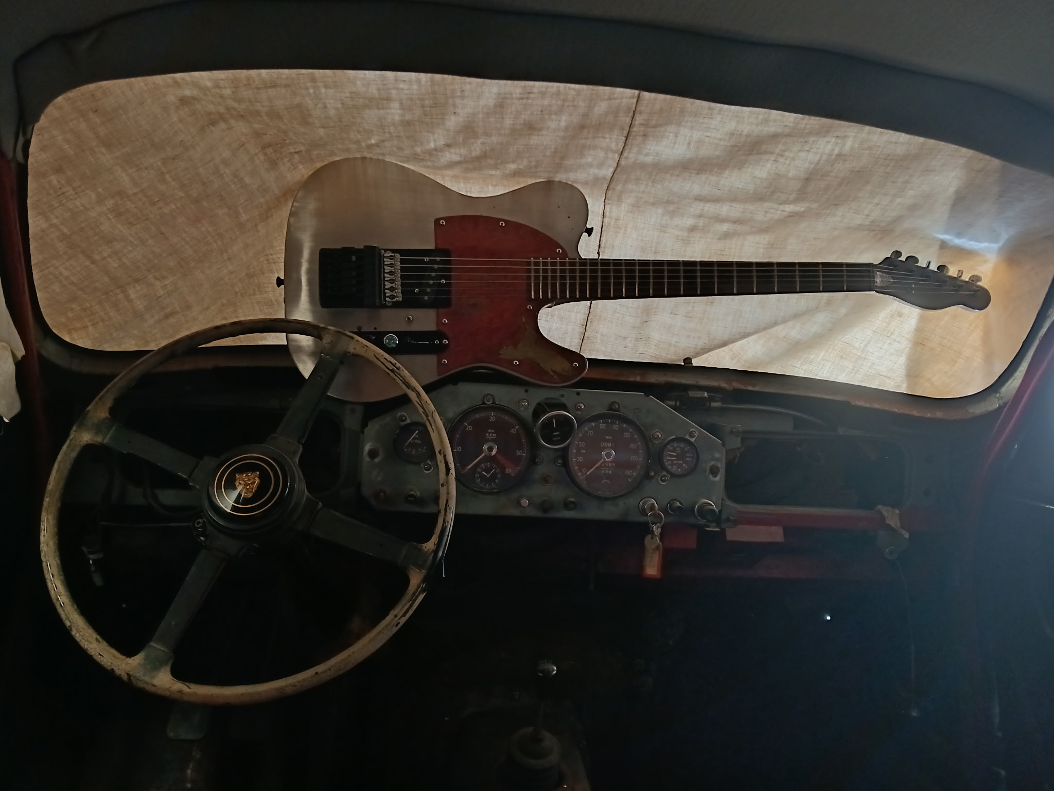 Redwing — photo 9