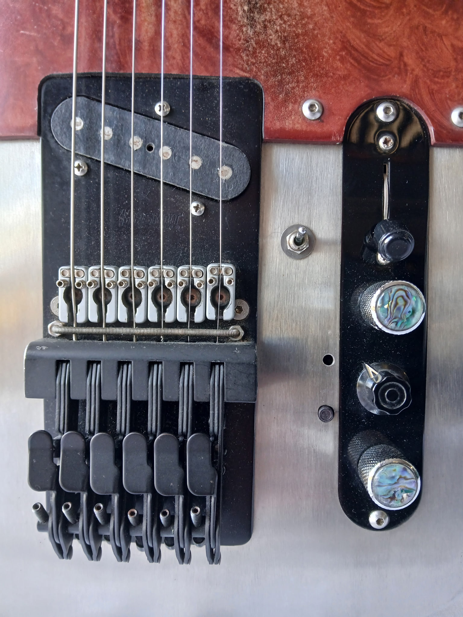 Redwing — photo 17
