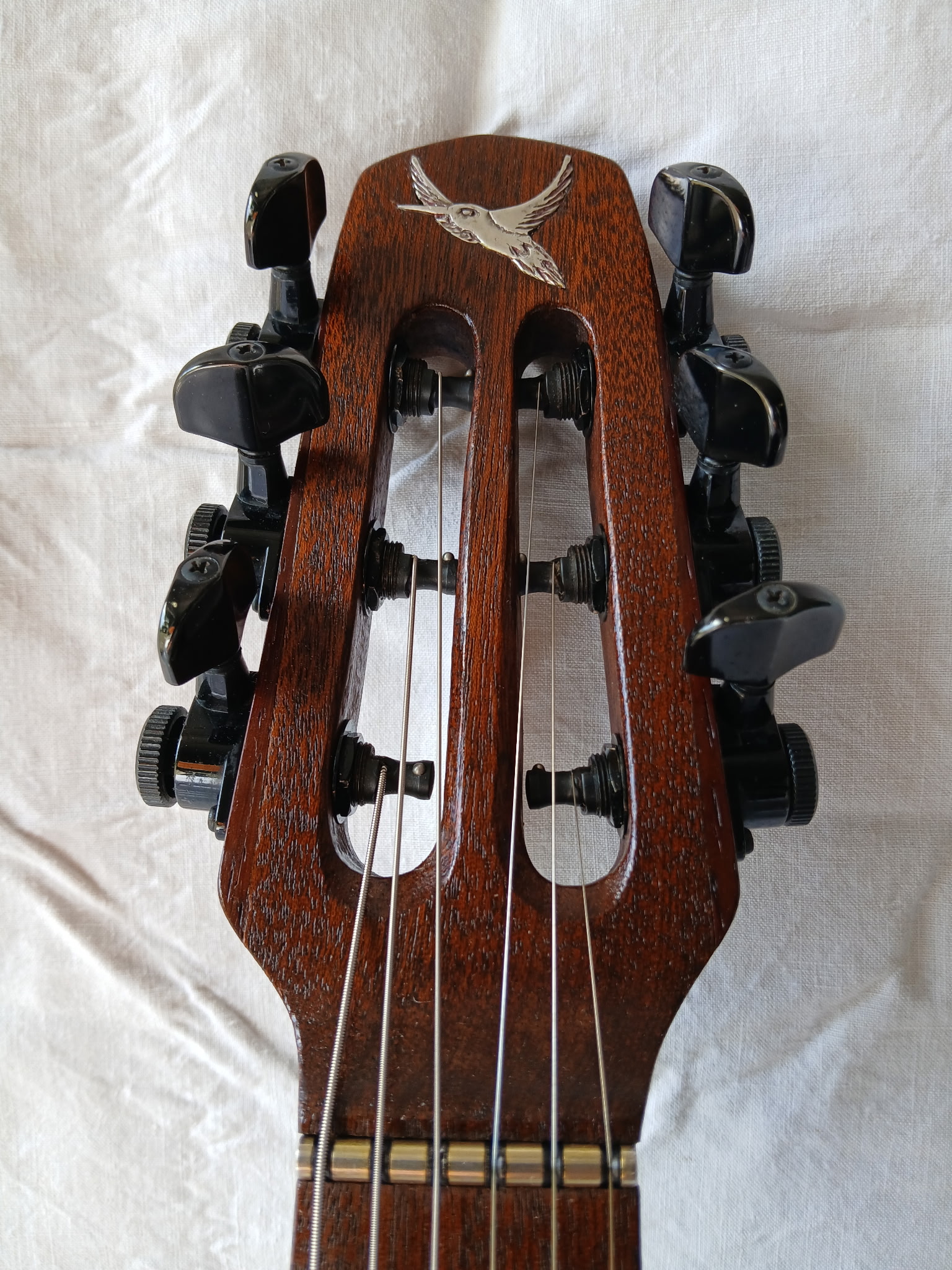 Silverwing — photo 10