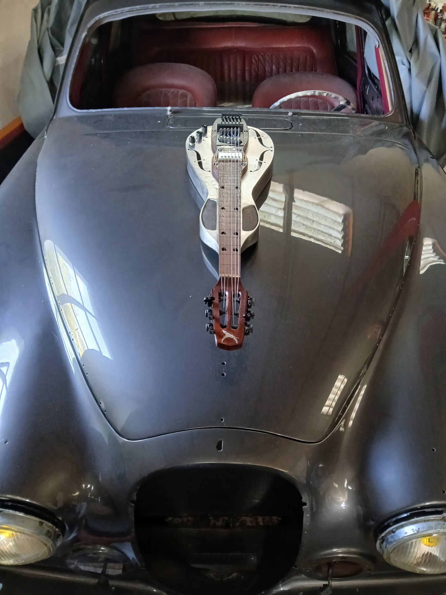 Silverwing — photo 1