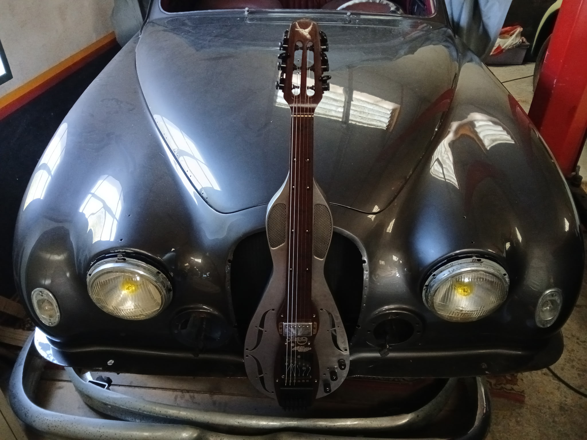 Silverwing — photo 5