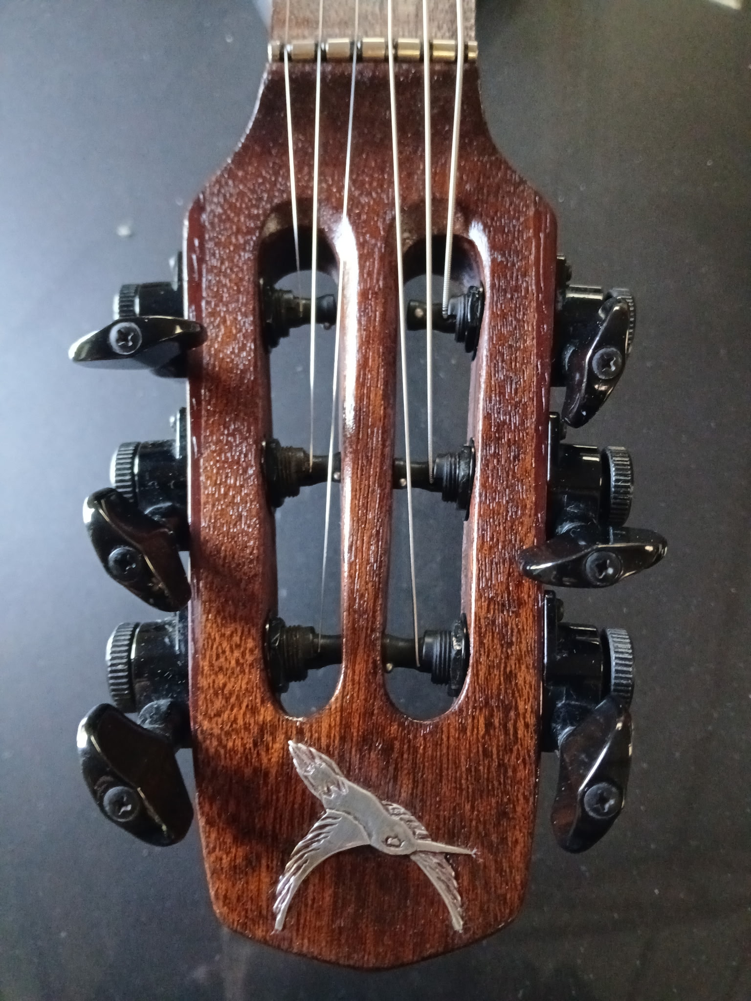 Silverwing — photo 6